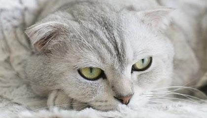 九游网游官网-欧国联最新消息曝光，国家队豪取欧锦赛战胜利，欧国联比赛赛程