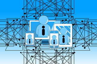 九游体育网站-中国青少年篮球发展政策实施与推广策略，青少年篮球发展现状及对策研究