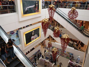 九游下载电脑版官网-迈向未来：Chinese Taipei团队在国际赛场的崭新发展，chinese of taipei